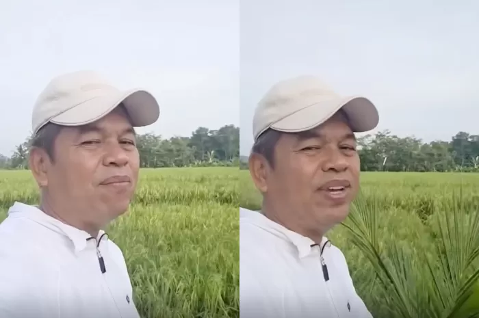 Darurat Moral Generasi Muda, Dedi Mulyadi Serukan Tindakan Tegas Bongkar Warung Miras Oplosan – Tri Warna