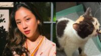 Sherina Munaf klarifikasi penyelamatan kucing Uya Kuya Sherina Munaf Klarifikasi Penyelamatan Kucing Uya Kuya