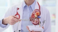Kasus gagal ginjal global meningkat drastis Kasus Gagal Ginjal Global Meningkat Drastis