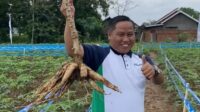 Narji Cagur menikmati hobi bertani yang terinspirasi keluarganya Narji Cagur Menikmati Hobi Bertani Yang Terinspirasi Keluarganya