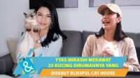 Tyas Mirasih merawat 23 kucing di rumahnya Tyas Mirasih Merawat 23 Kucing Di Rumahnya