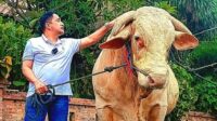 Bisnis Sapi Kurban Irfan Hakim Makin Laris, Satu Prinsip Ini yang Membuat Pelanggan Tak Mau Pergi Bisnis Sapi Kurban Irfan Hakim Makin Laris, Satu Prinsip Ini Yang Membuat Pelanggan Tak Mau Pergi