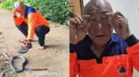 Heru Gundul Disembur Bisa Kobra saat Evakuasi, Kondisinya Setelah 18 Jam Bikin Lega Heru Gundul Disembur Bisa Kobra Saat Evakuasi, Kondisinya Setelah 18 Jam Bikin Lega