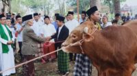 Kurban Sampai Kapan, Ini Penjelasan Waktu Penyembelihan yang Sering Diperdebatkan. Kurban Sampai Kapan, Ini Penjelasan Waktu Penyembelihan Yang Sering Diperdebatkan
